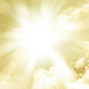 里照先生の画像